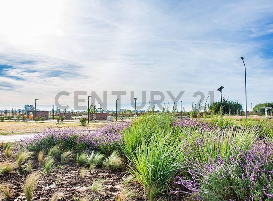 Foto de Venta terreno 300 m2 en EcoVida | Villa Amelia, imagen 2