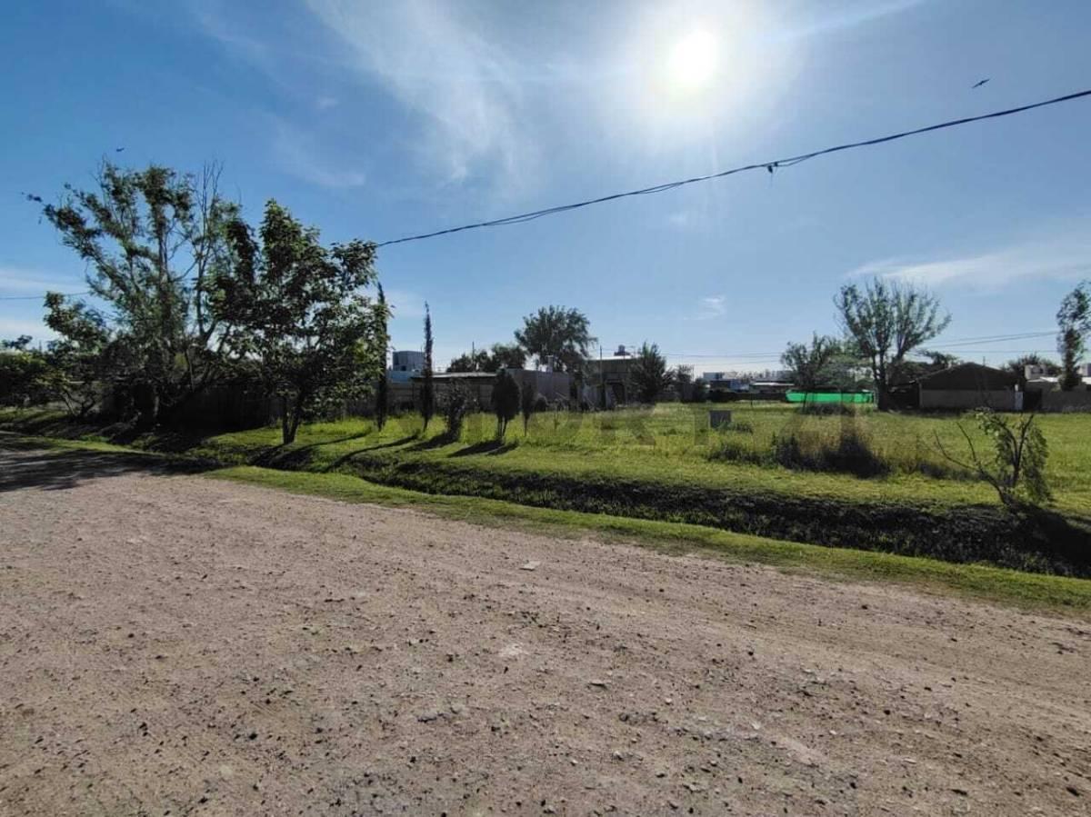 Foto de LOTE EN TDS 2 LINDERO A PUERTO ROLDAN, imagen 5