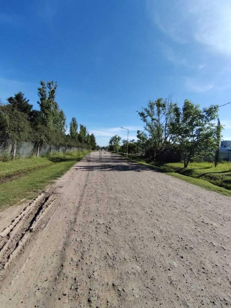 Foto de LOTE EN TDS 2 LINDERO A PUERTO ROLDAN, imagen 2
