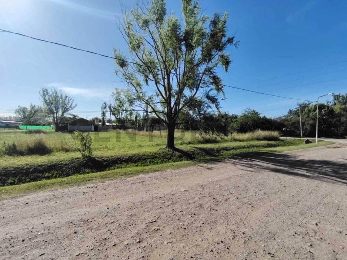 Foto de LOTE EN TDS 2 LINDERO A PUERTO ROLDAN, imagen 3