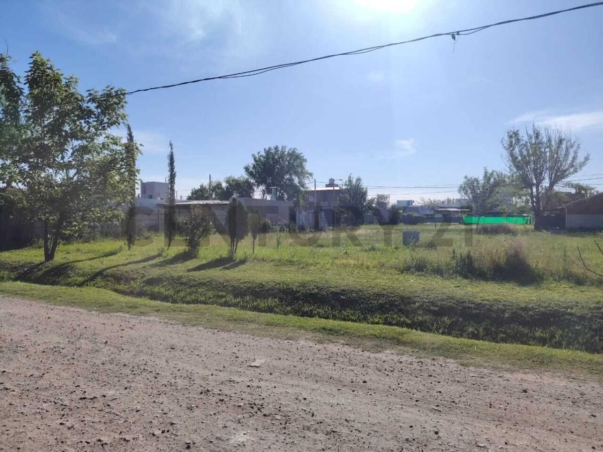 Foto de LOTE EN TDS 2 LINDERO A PUERTO ROLDAN, imagen 1