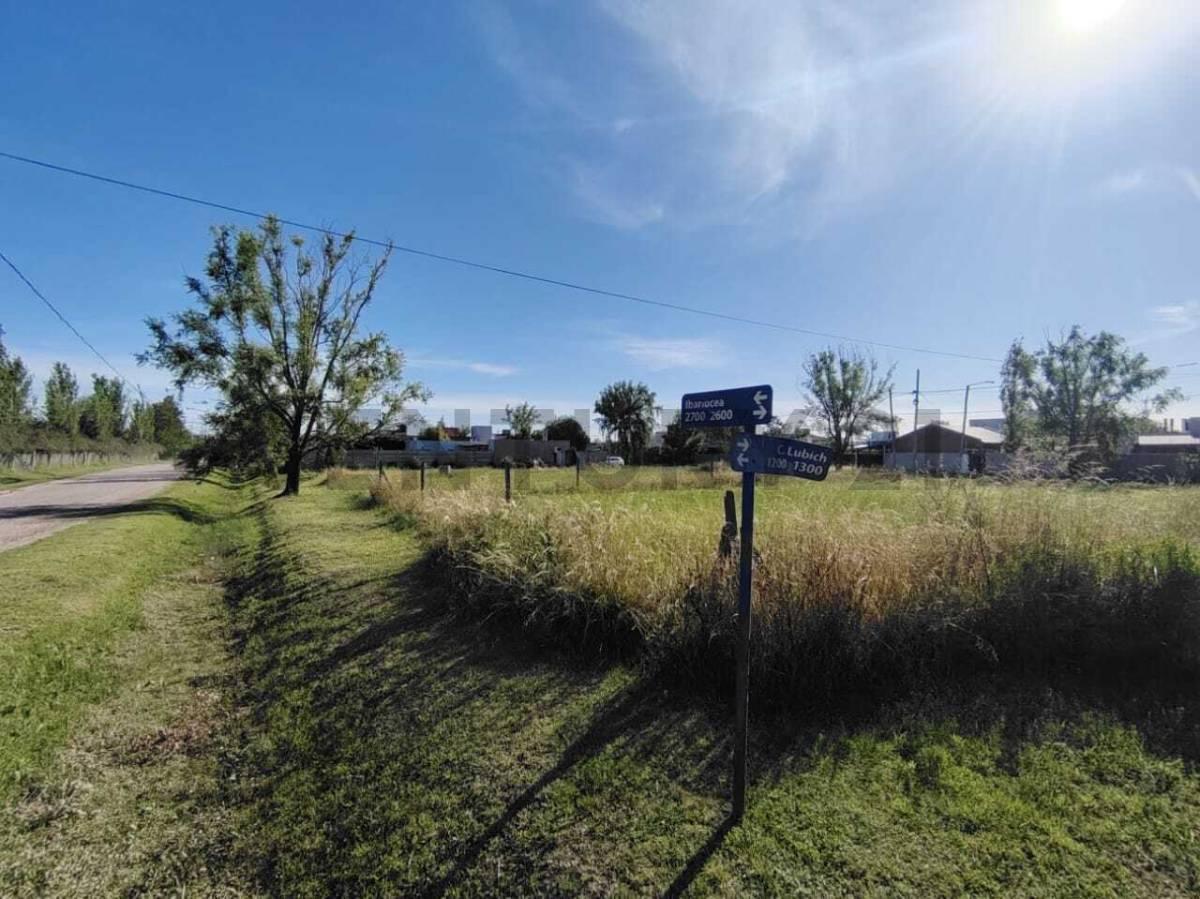 Foto de LOTE EN TDS 2 LINDERO A PUERTO ROLDAN, imagen 4