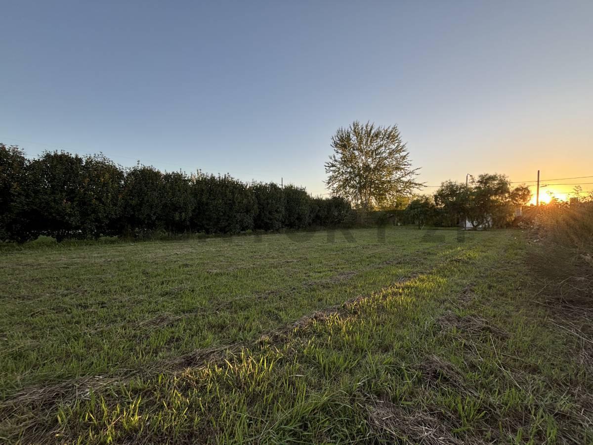 Foto de TERRENO EN VENTA EN ACEQUIAS DEL AIRE ROLDAN, imagen 2
