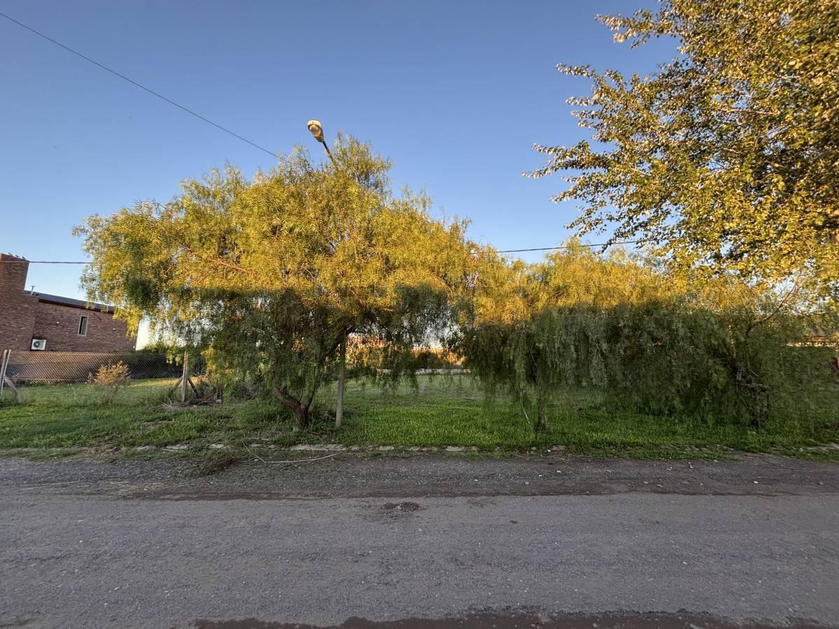 Foto de TERRENO EN VENTA EN ACEQUIAS DEL AIRE ROLDAN, imagen 4