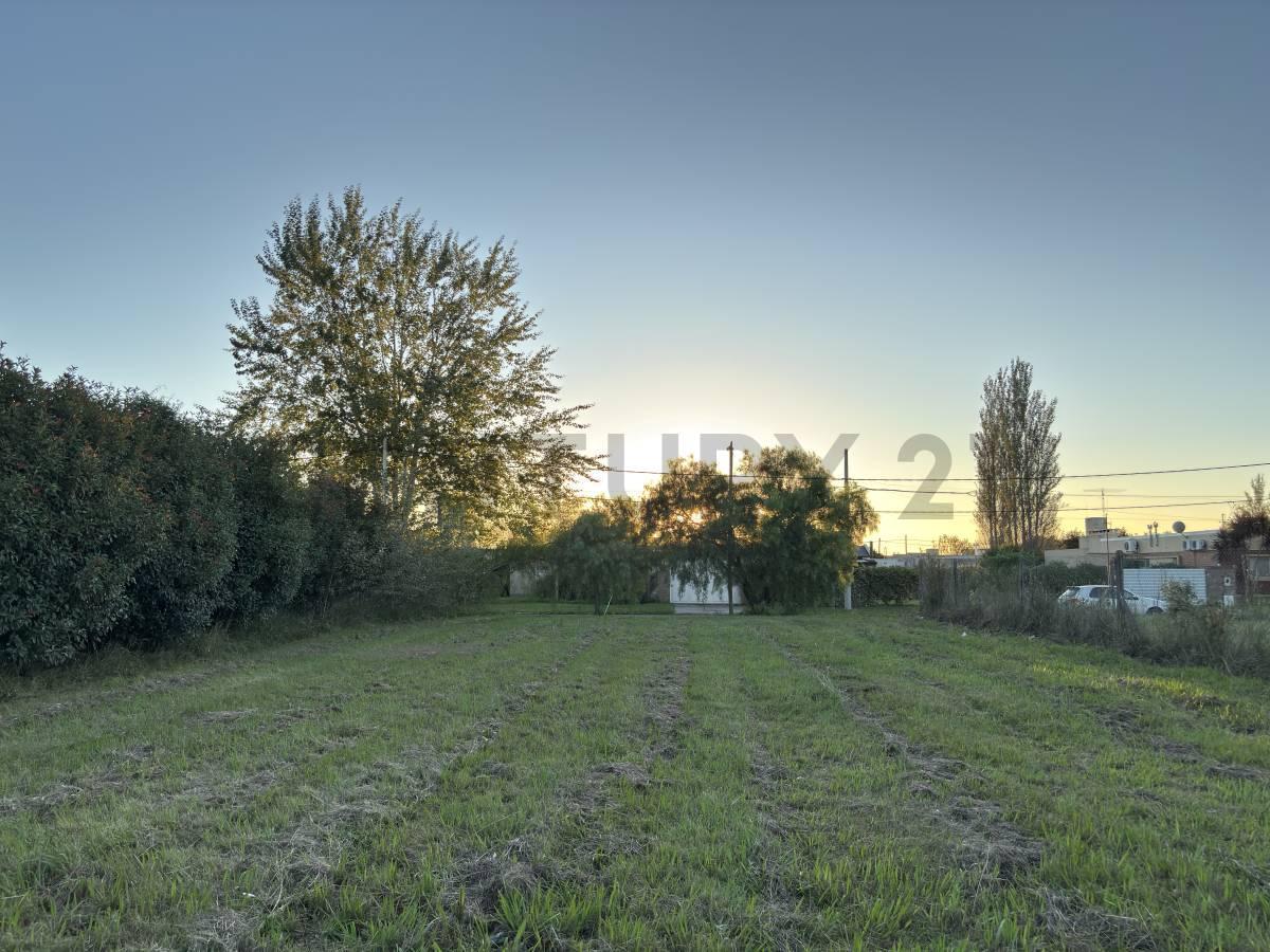 Foto de TERRENO EN VENTA EN ACEQUIAS DEL AIRE ROLDAN, imagen 5