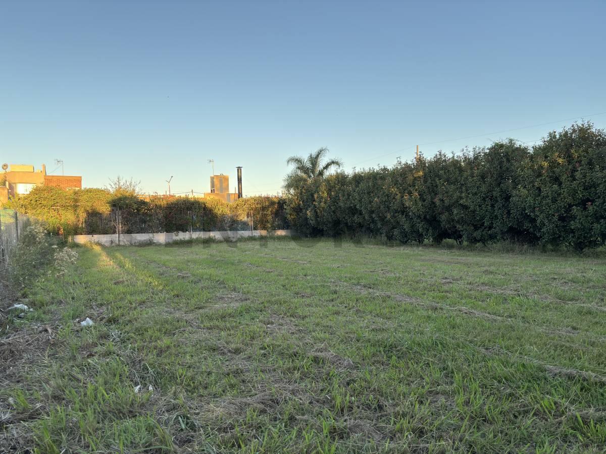Foto de TERRENO EN VENTA EN ACEQUIAS DEL AIRE ROLDAN, imagen 3