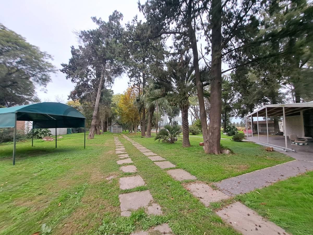 Foto de VENTA GRAN LOTE ARBOLADO en PUEBLO ESTHER, imagen 2