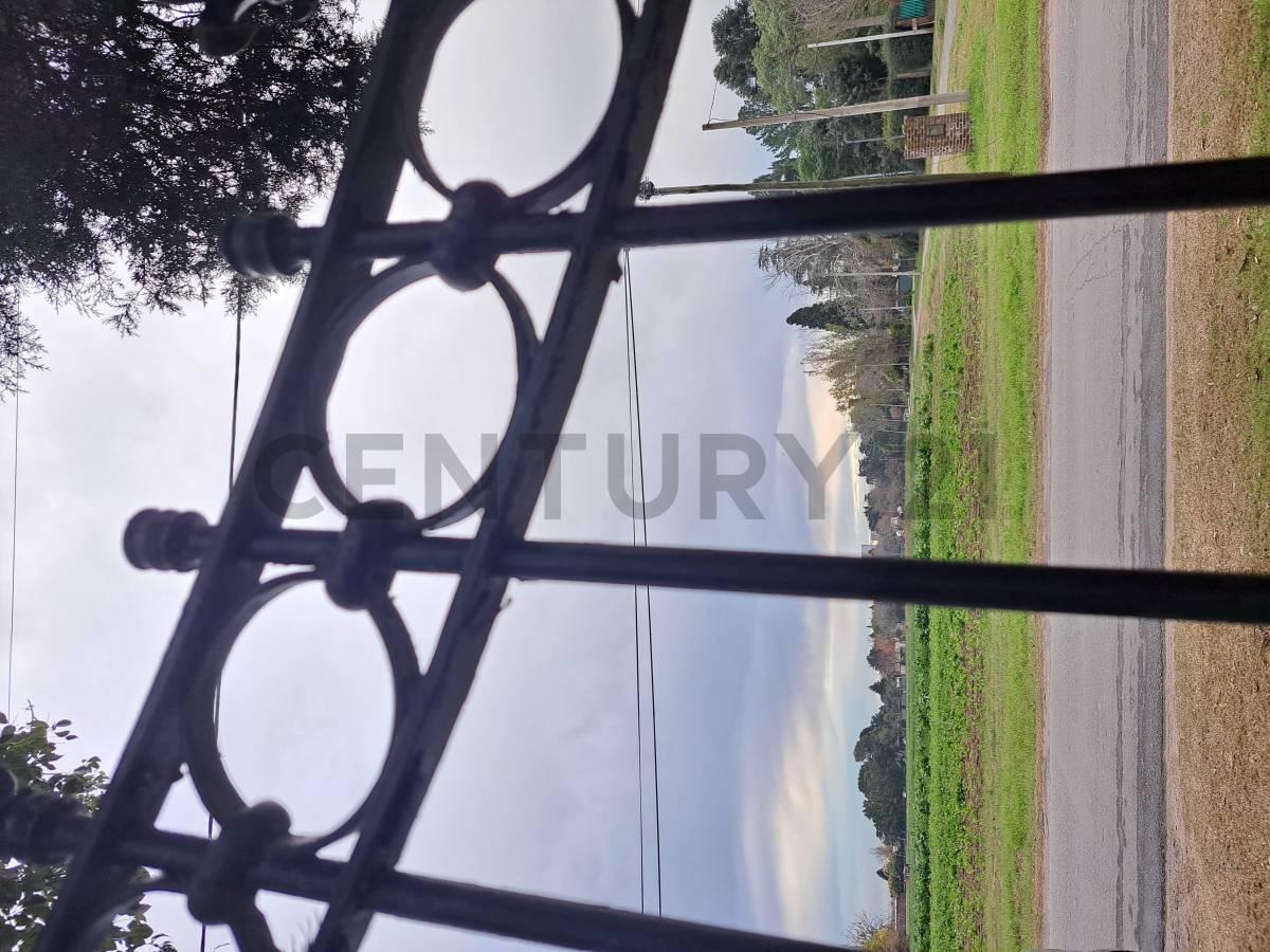 Foto de VENTA GRAN LOTE ARBOLADO en PUEBLO ESTHER, imagen 4