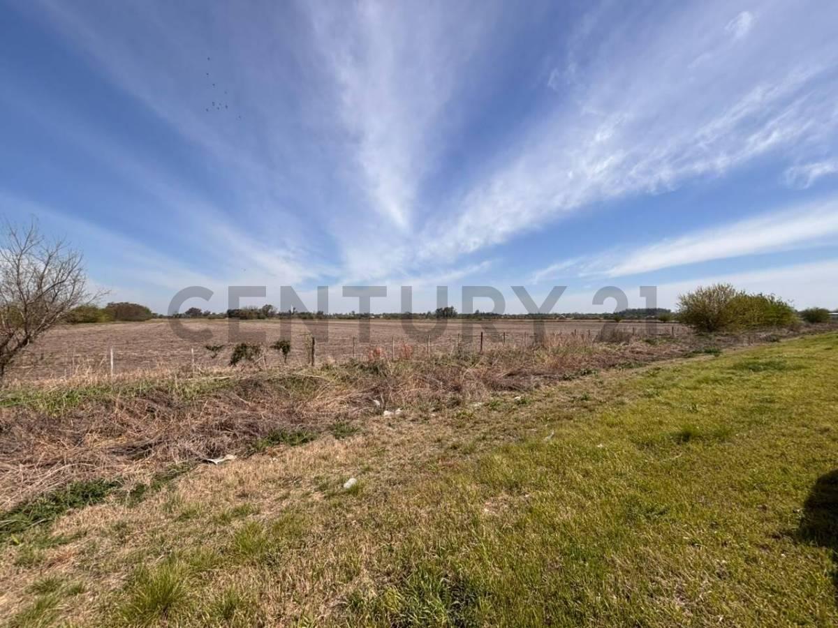 Foto de Campo sobre Ruta 34 S, imagen 2