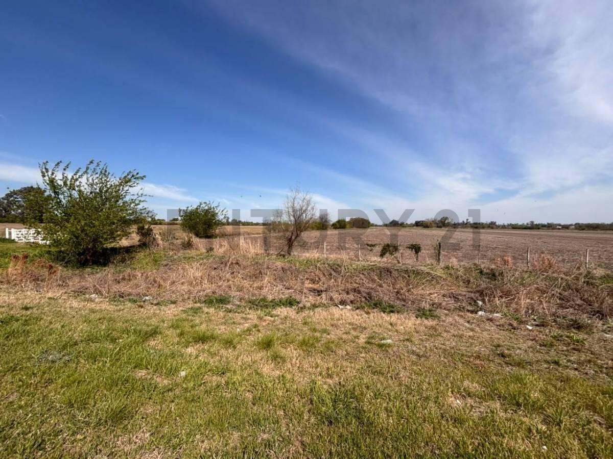 Foto de Campo sobre Ruta 34 S, imagen 3