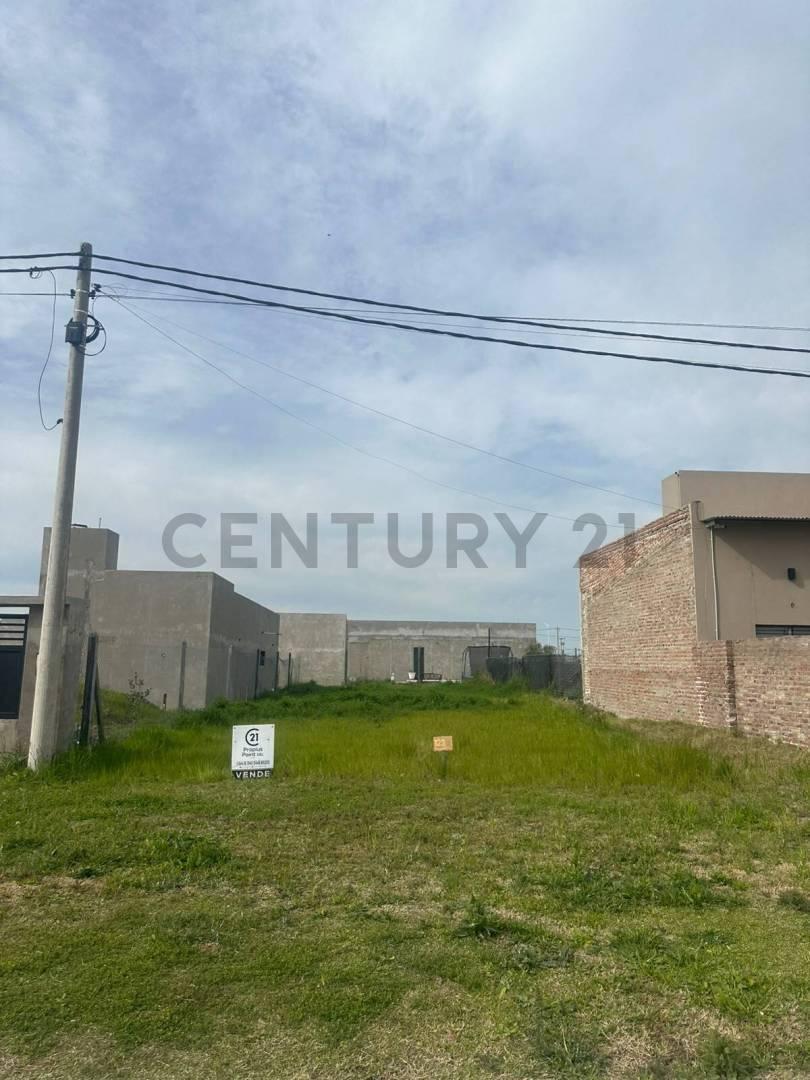 Foto de Venta Terreno Estación Alvear, imagen 5