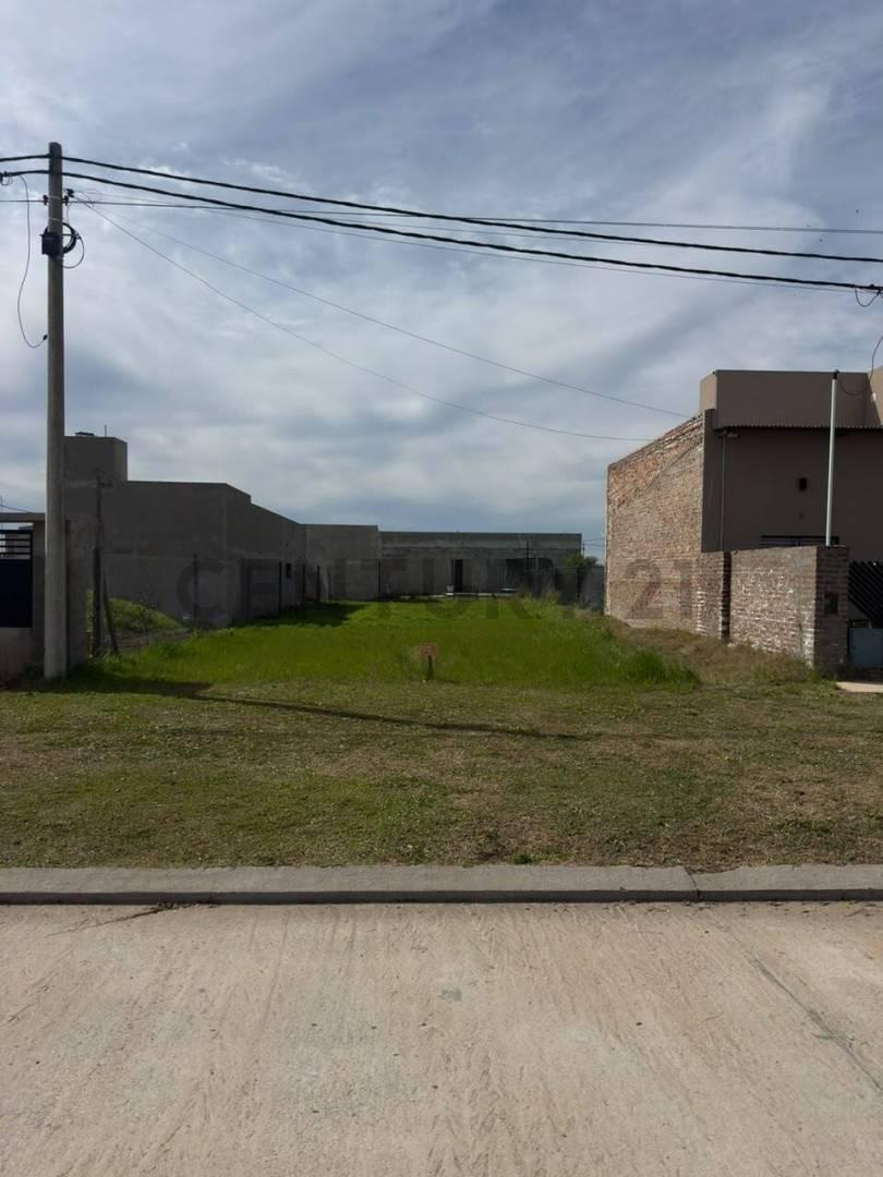 Foto de Venta Terreno Estación Alvear, imagen 3