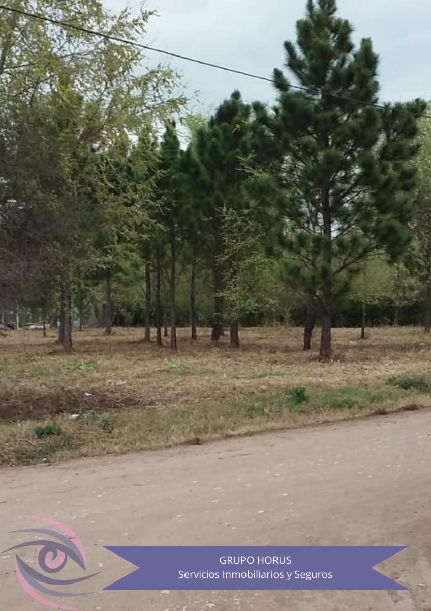Venta Lote Anisacate 1
