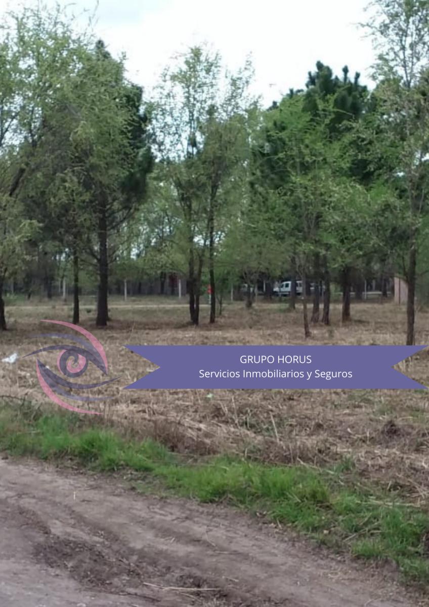 Venta Lote Anisacate 3