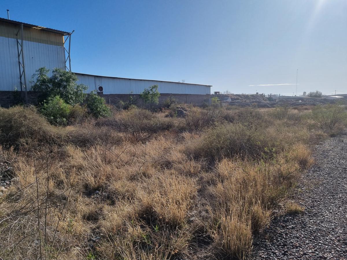 Terreno en Perdriel, Luján de Cuyo 1