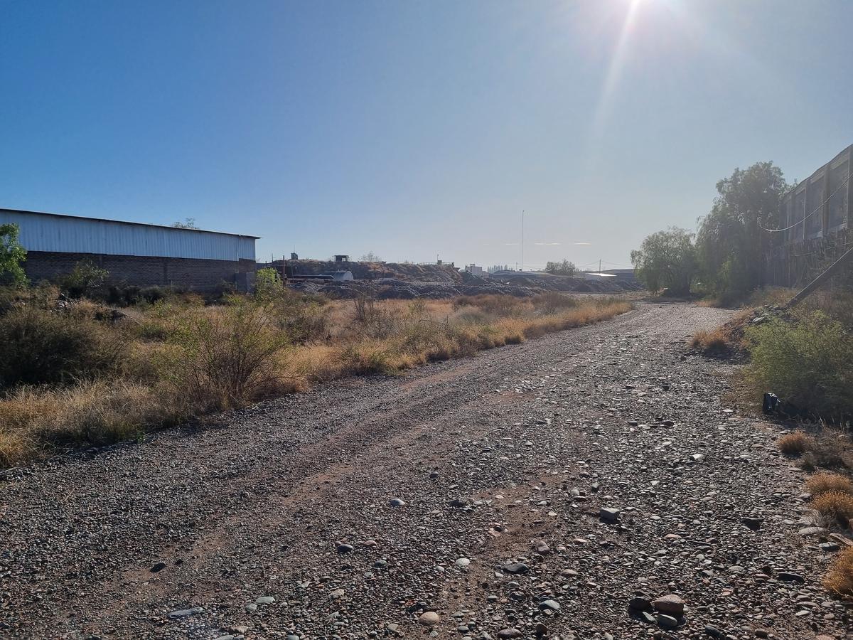 Terreno en Perdriel, Luján de Cuyo 4