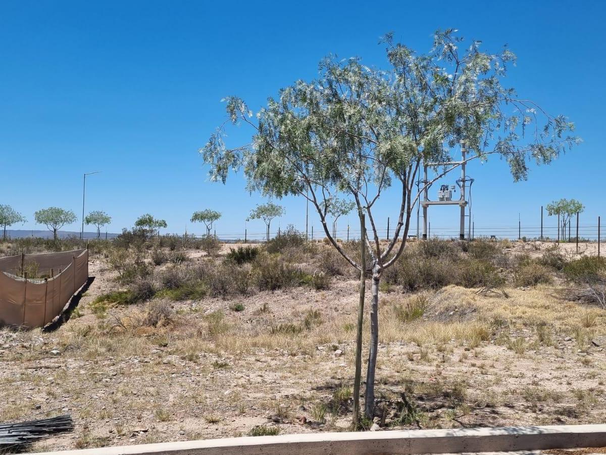 Terreno en Lujan de Cuyo 5