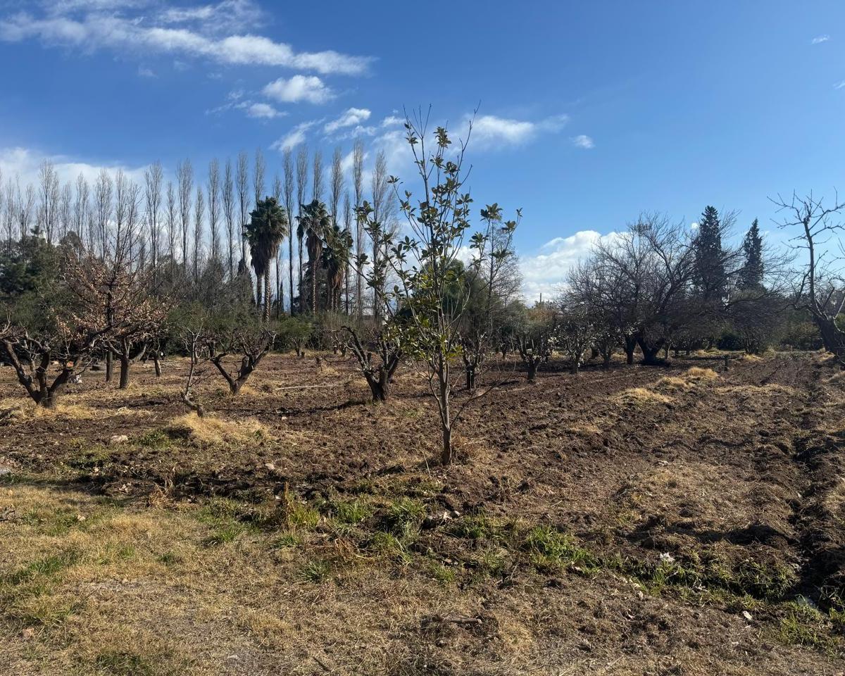 Terreno a m de Panamericana. Frente a Palmares 4