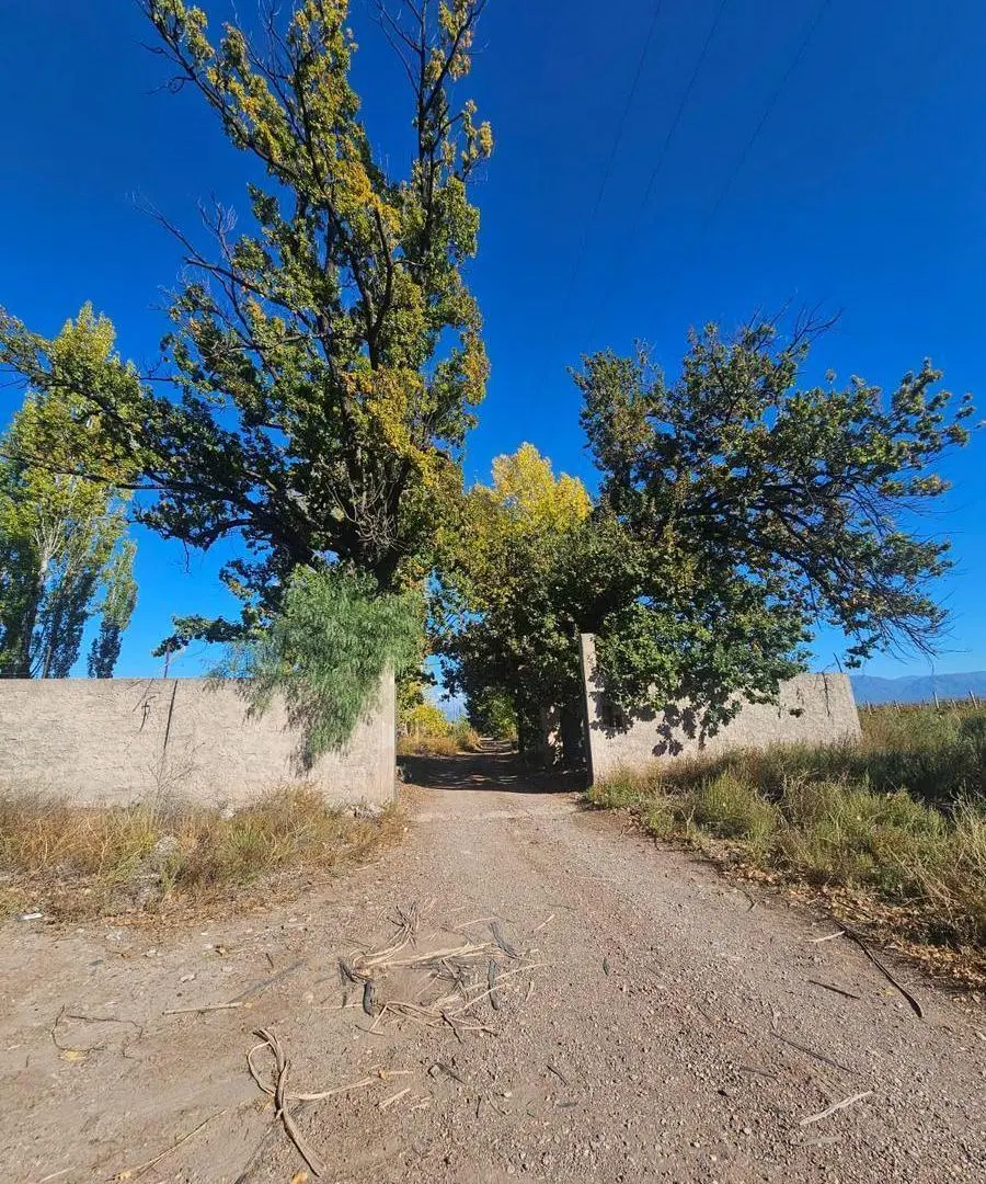 Finca en venta 3