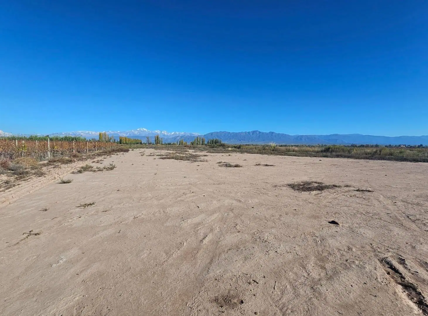 Finca en venta 4