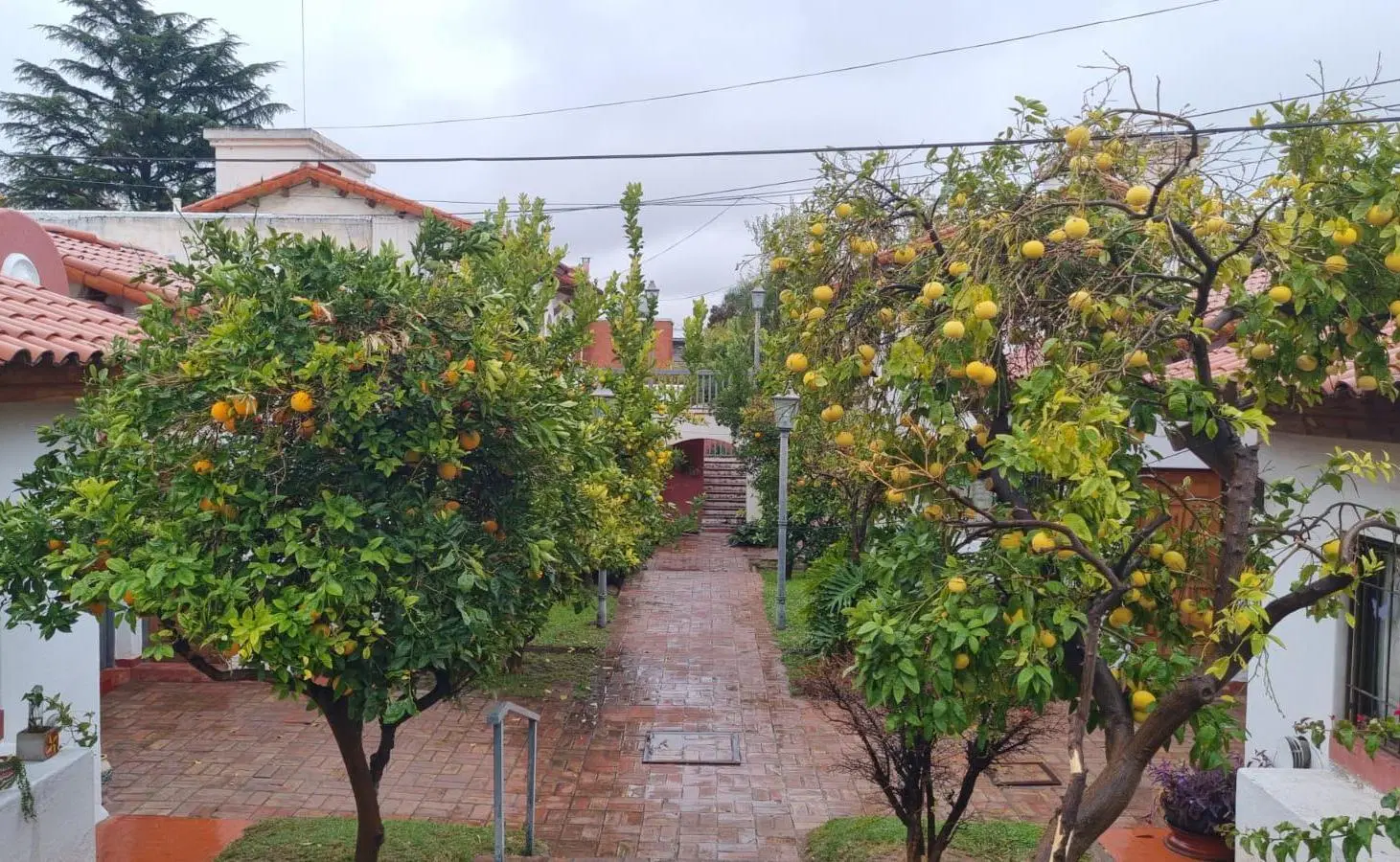 Departamento en Godoy Cruz 2