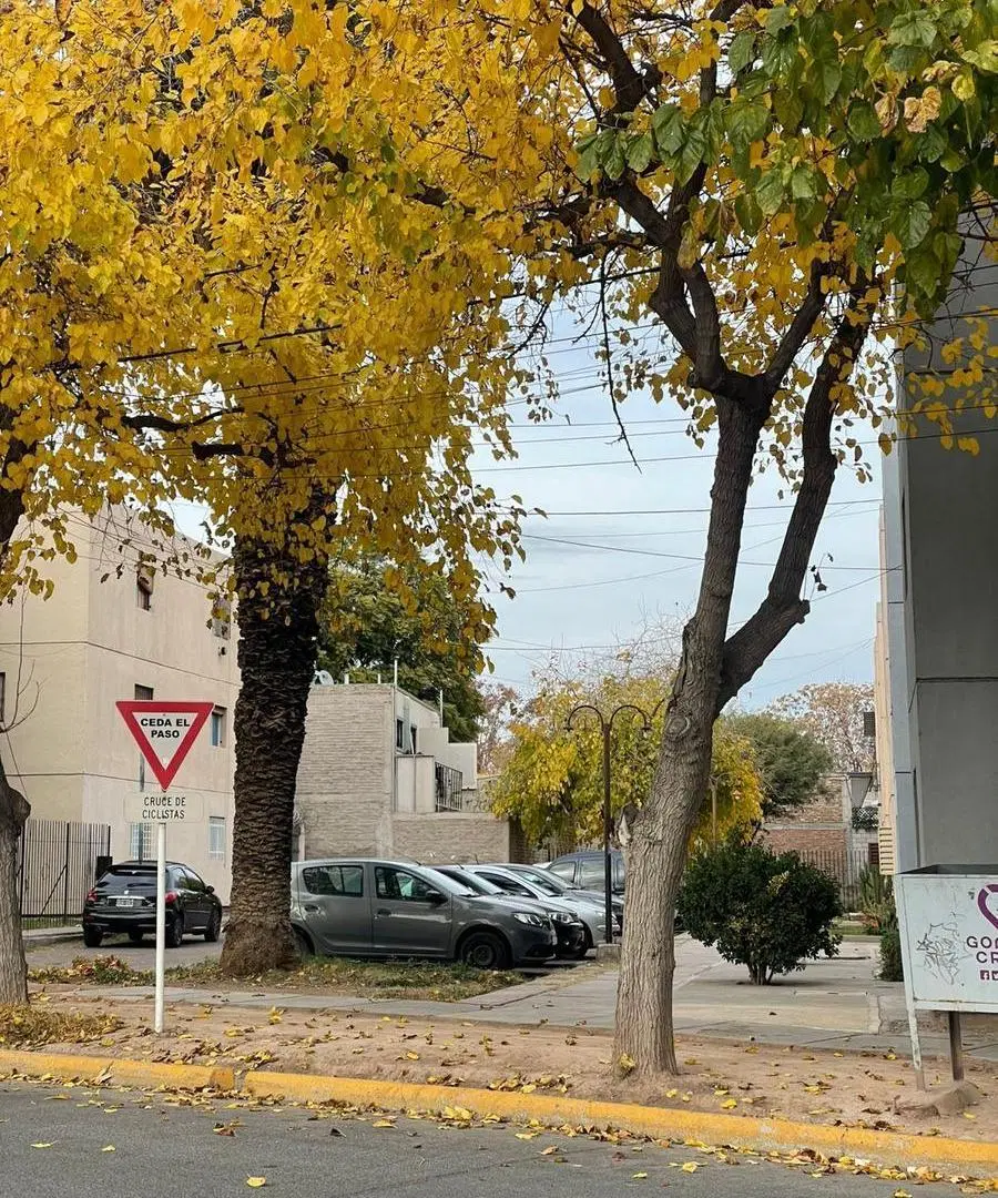 Departamento en alquiler 4