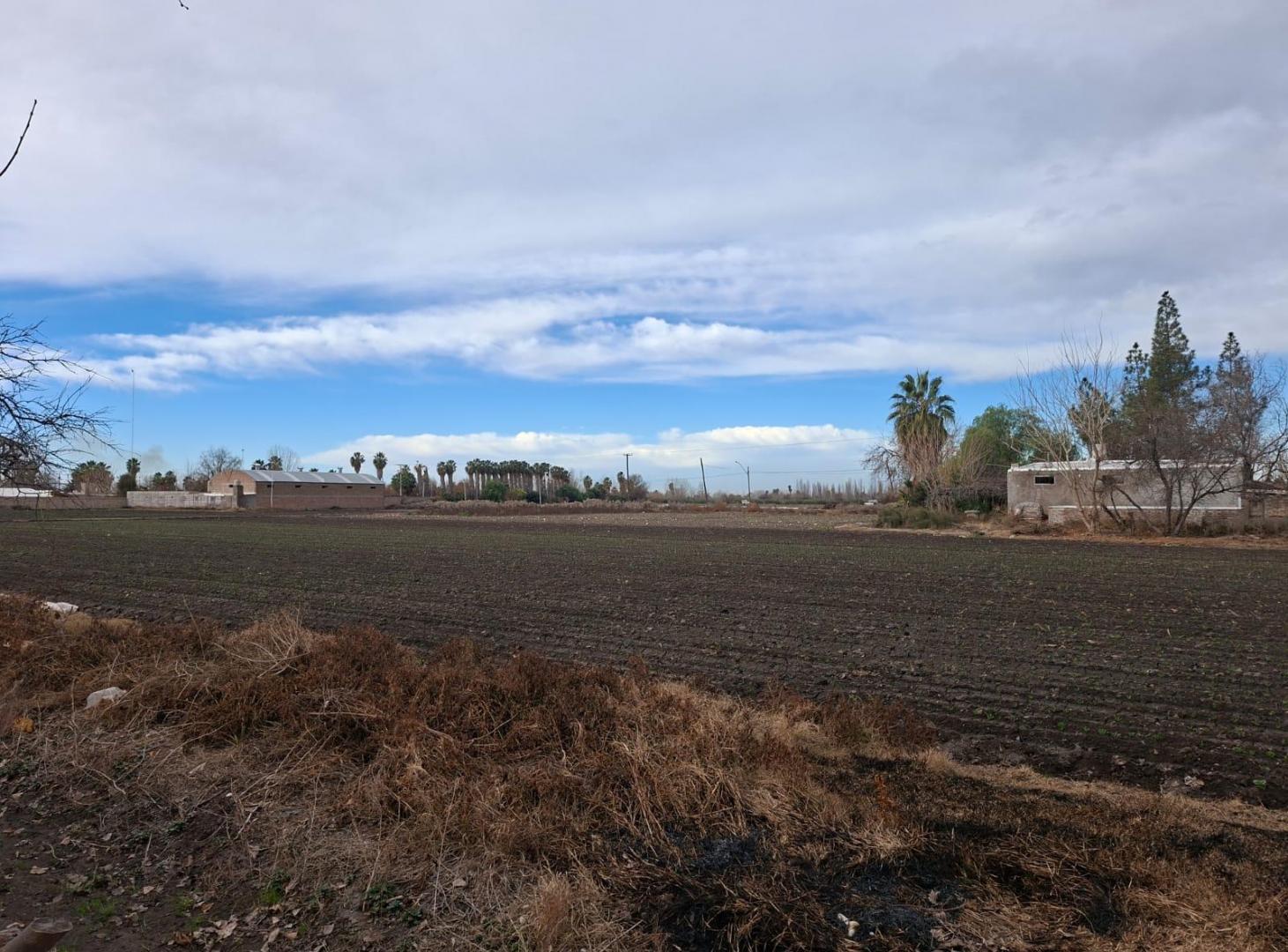 Foto de Terreno en La Primavera, imagen 3