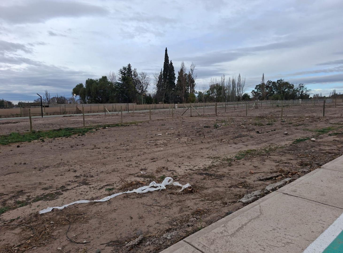 Foto de Terreno en Vistalba, imagen 5