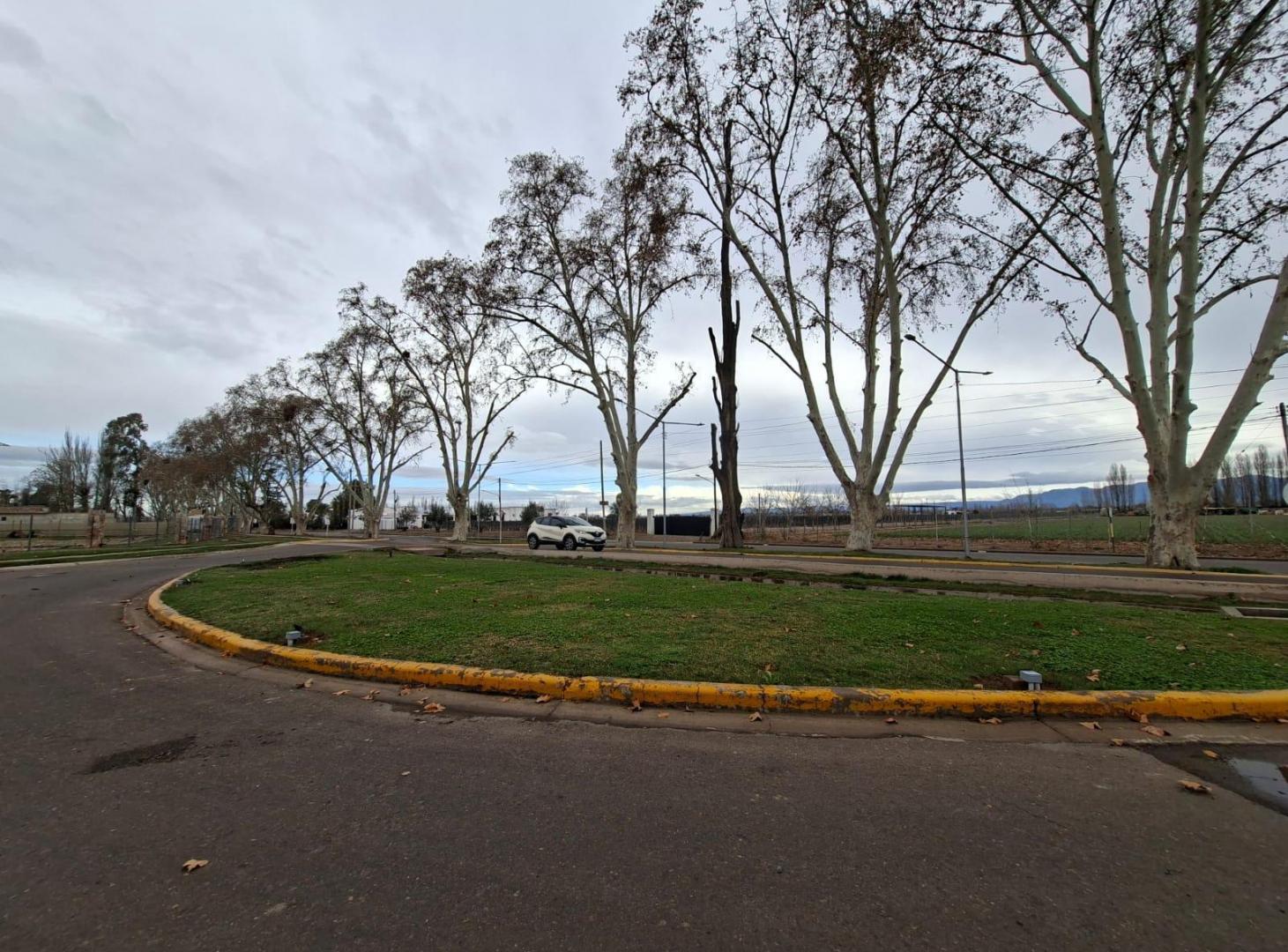 Foto de Terreno en Vistalba, imagen 4