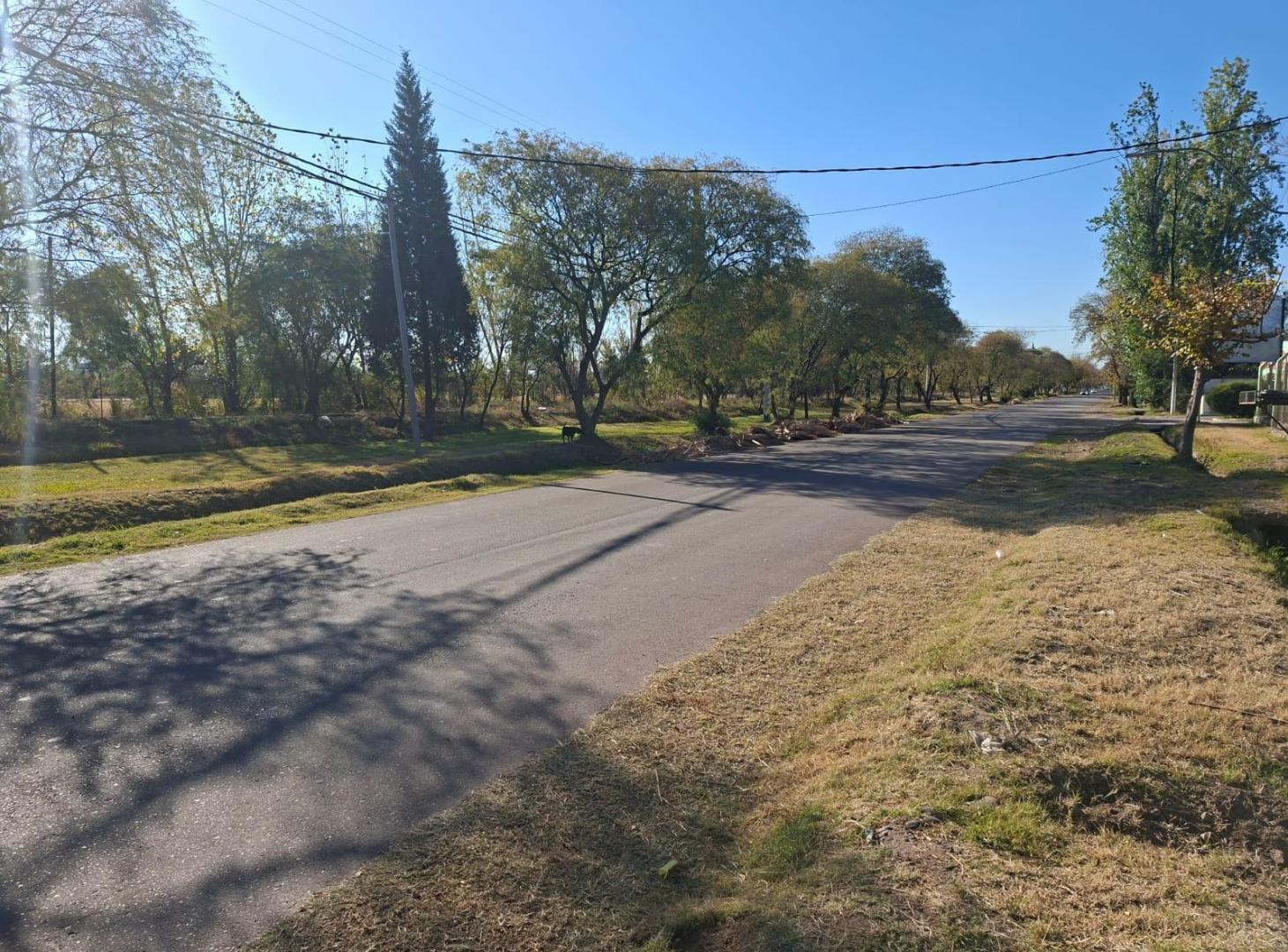 Foto de Terreno en venta, imagen 4