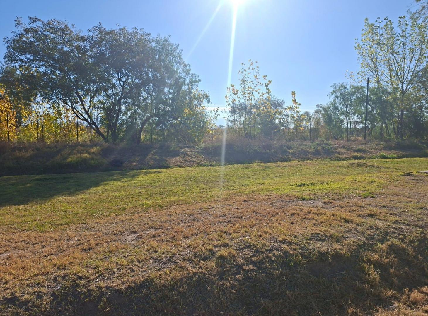 Foto de Terreno en venta, imagen 5