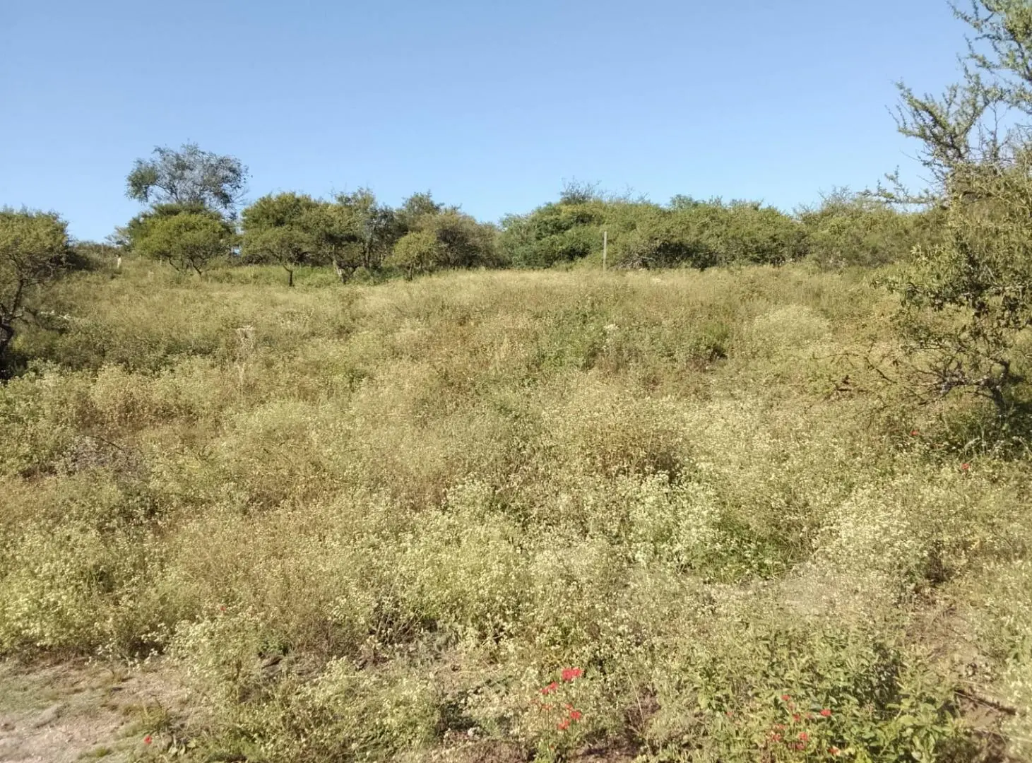 Terreno en Bialet Masse 4