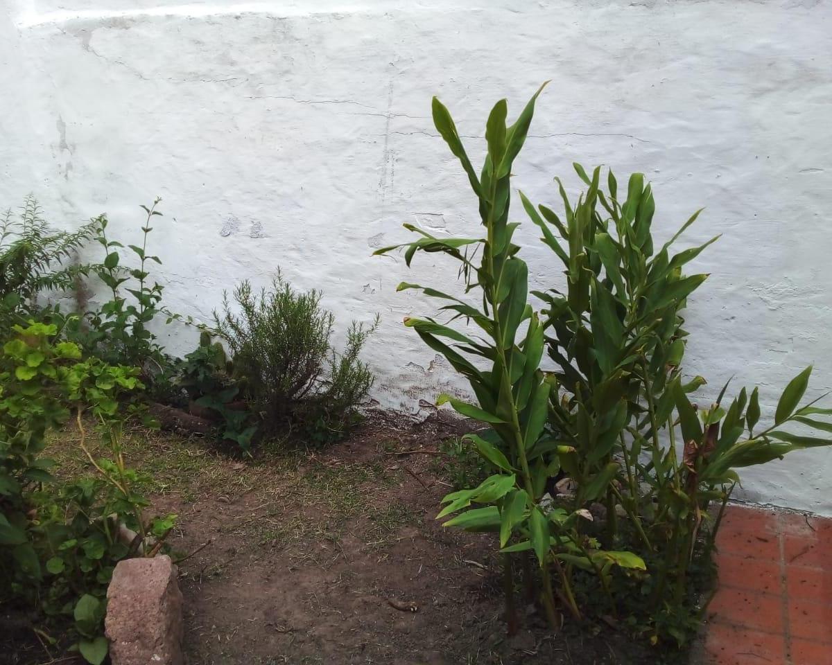 Venta de Inmueble Ubicado en Alta Gracia 1