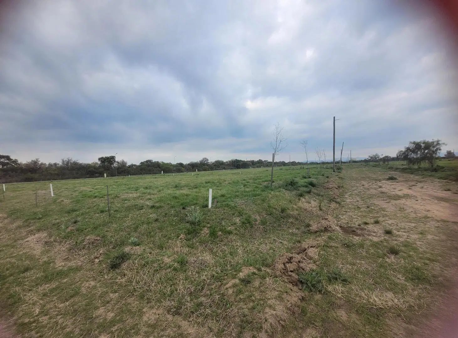 LOTE ESQUINA EN VENTA - LOCALIDAD JUAREZ CELMAN 4