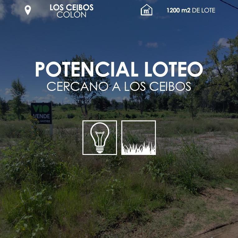 Foto de Terrenos en Colón, imagen 2