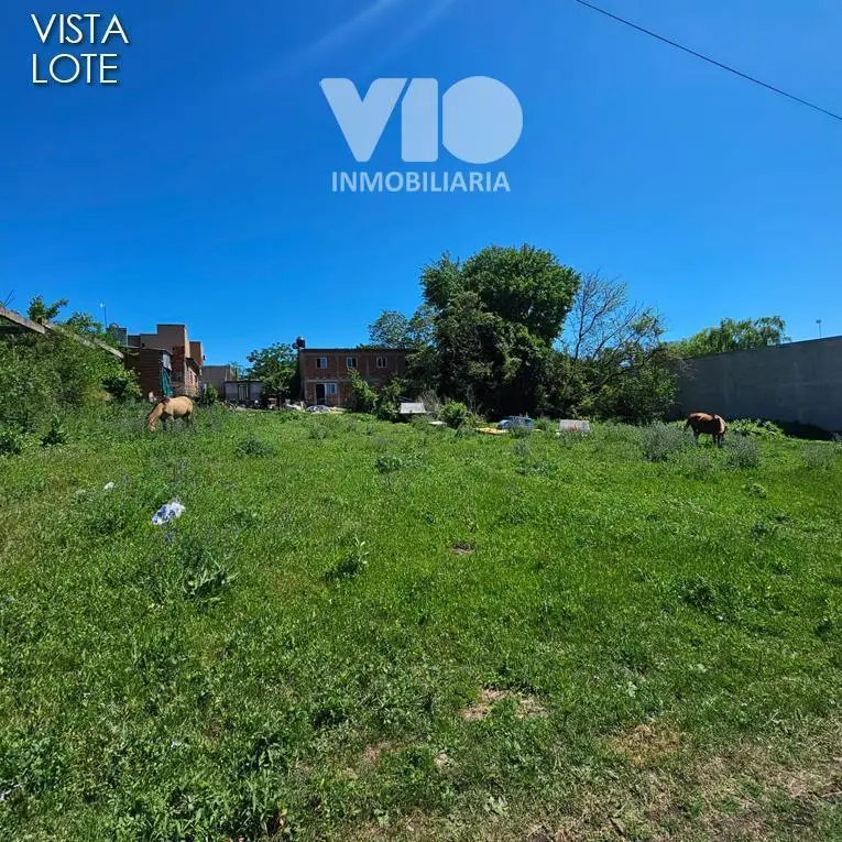 Terreno en Colón 4
