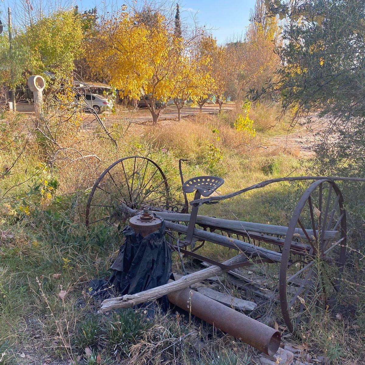 Se Vende Hermosa Finca en Lunlunta - Maipú. 5 Hectáreas 3000 m 4
