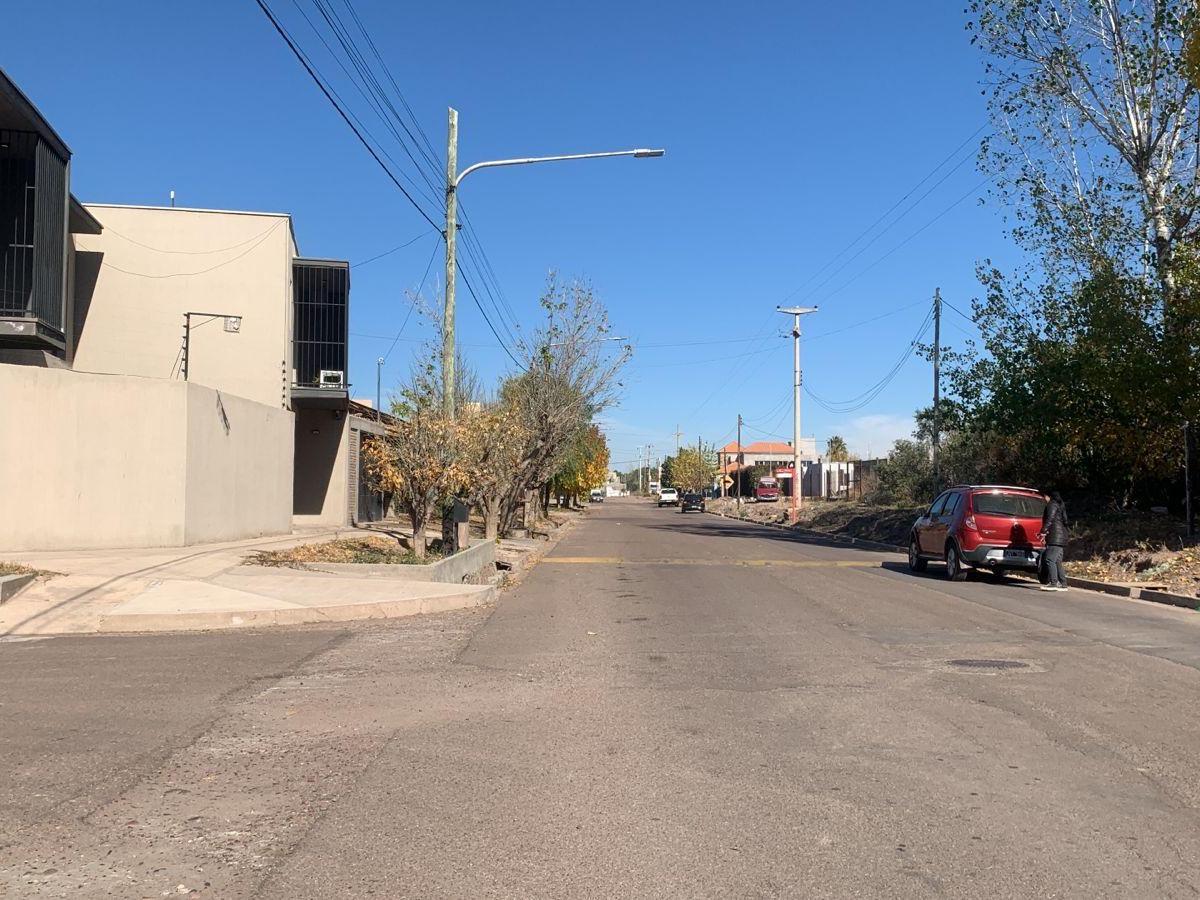 Se Vende Terreno de 1 Hectárea en Maipú, Sobre Calle Girasoles y Juan Jose Paso 3