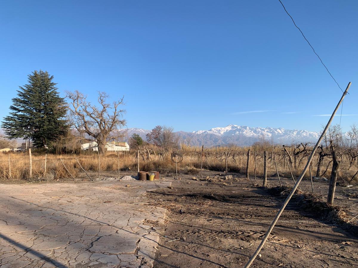 Se Vende Casa en San Carlos con Vista a La Montaña, con Galpón y Dpto y Depósito 1