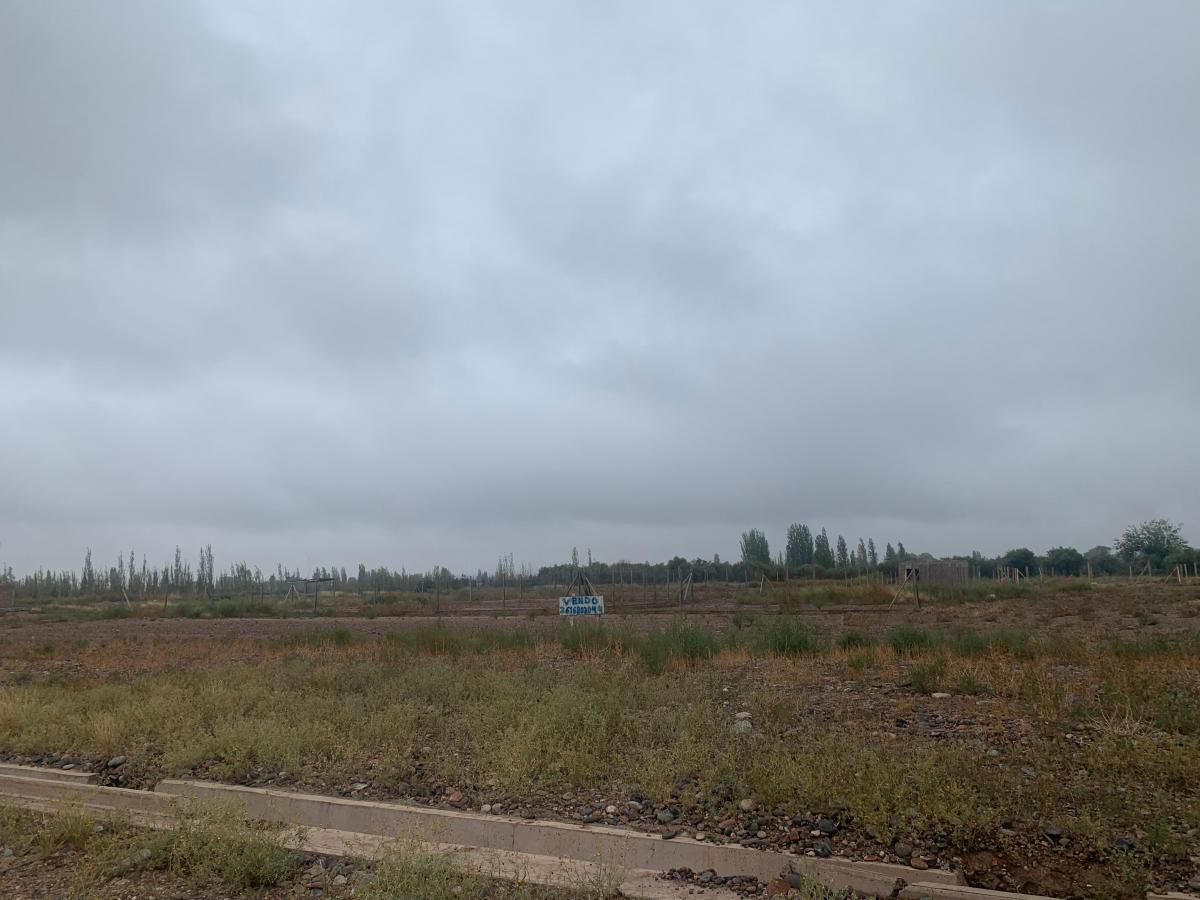 Se Vende Terreno de 500 m² en Russell Maipú, Bº Olivos de Russell 4