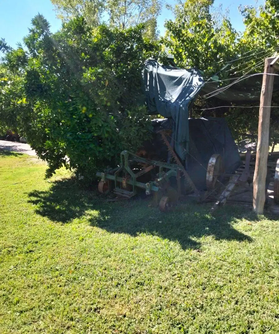 SE VENDE CASA CON 2 CABAÑAS EN LUNLUNTA, MAIPÚ, MENDOZA 5