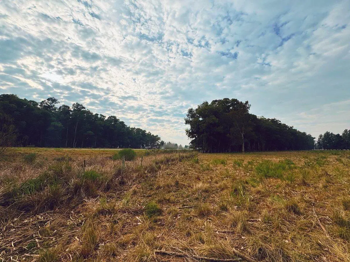 CAMPO EN VENTA LA PLATA ABASTO 5