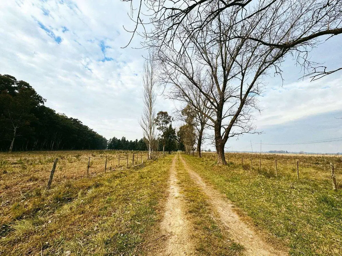 CAMPO EN VENTA LA PLATA ABASTO 4