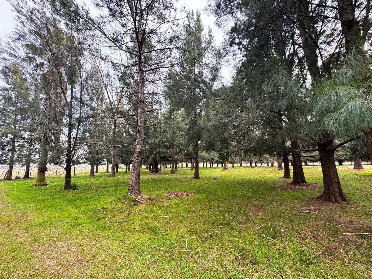 CAMPO EN VENTA LA PLATA ABASTO 2