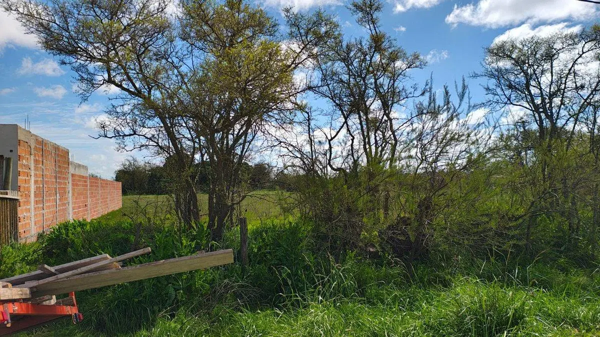 LOTES EN VENTA DOLORES 5