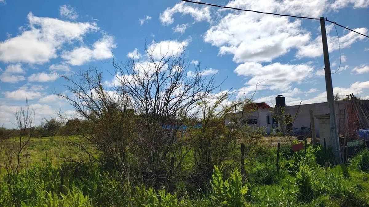 LOTES EN VENTA DOLORES 4