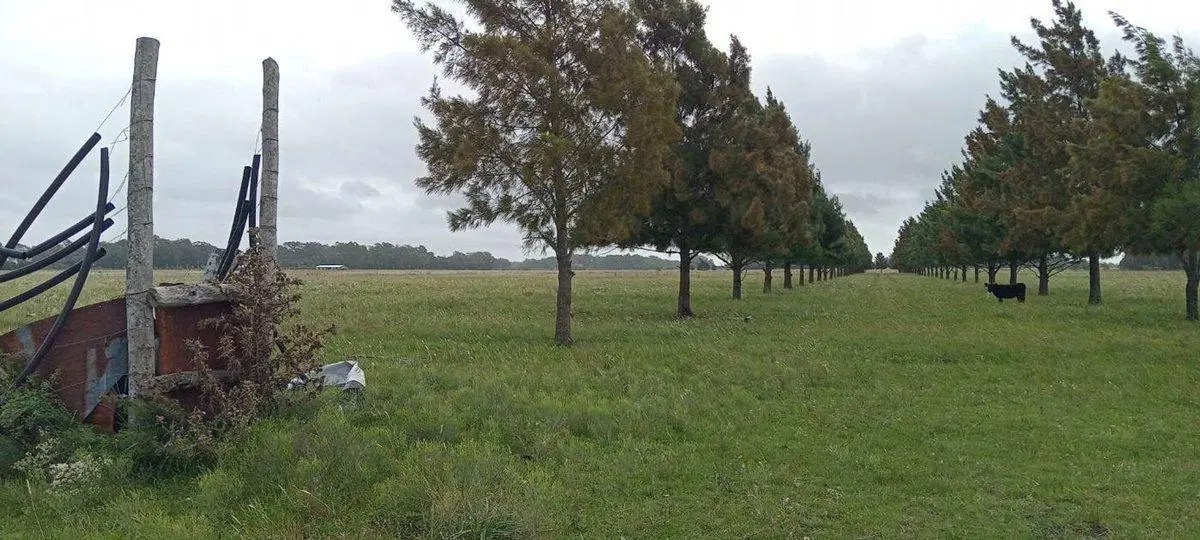 HECTAREAS  EN VENTA-VERÓNICA - PUNTA INDIO (25Ha) 2
