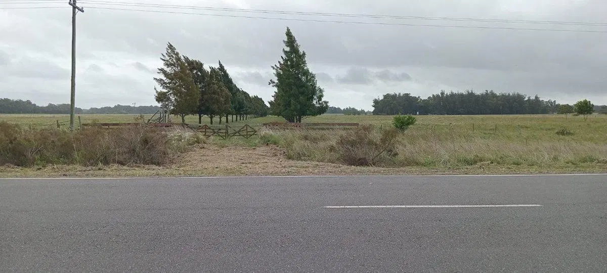 HECTAREAS  EN VENTA-VERÓNICA - PUNTA INDIO (25Ha) 5