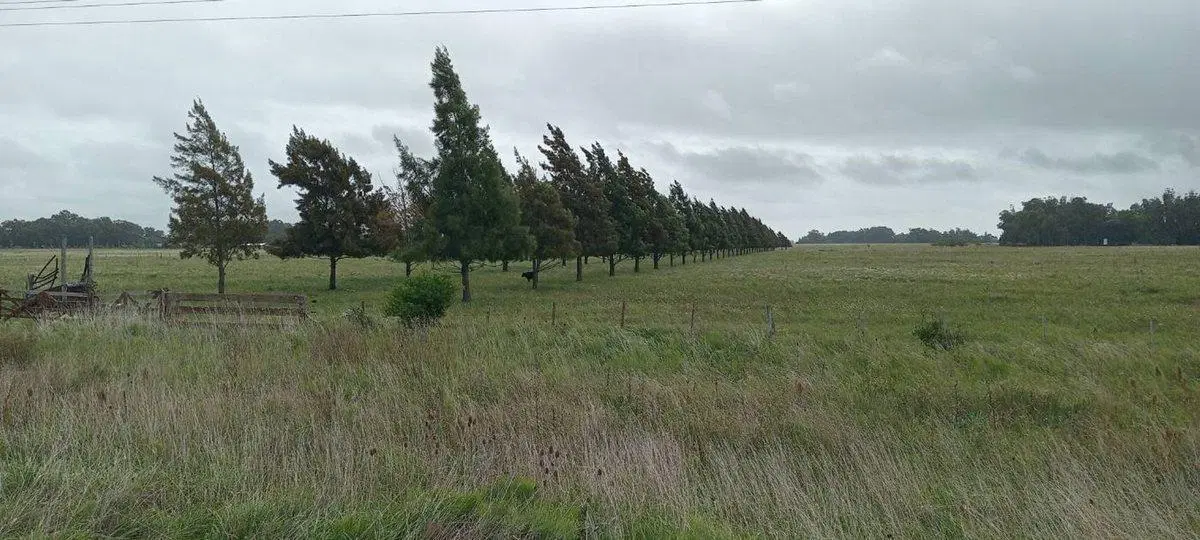HECTAREAS  EN VENTA-VERÓNICA - PUNTA INDIO (25Ha) 3