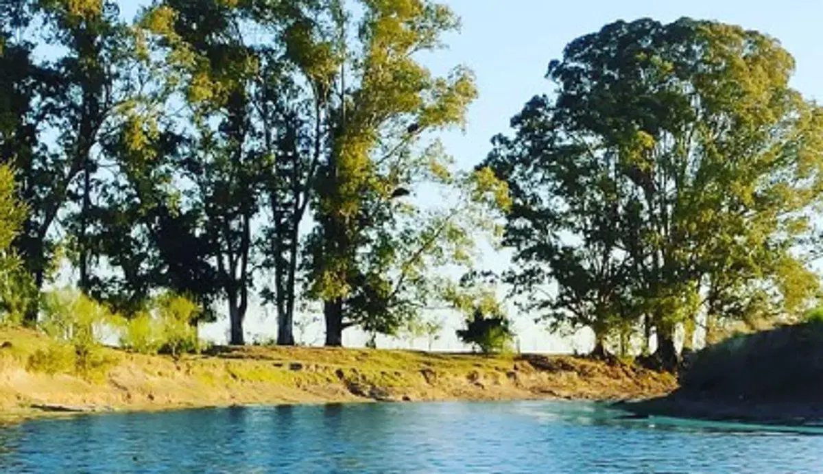 CAMPO EN VENTA SOBRE RUTA 2 KM 89/90 3